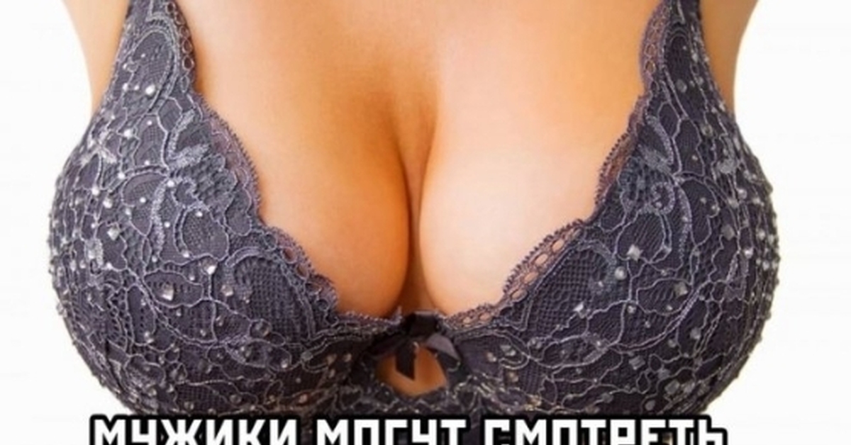 Дайте Сисек