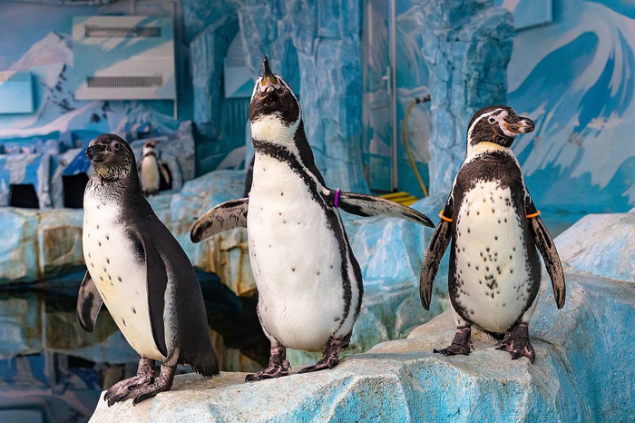  .       .        ,     &#xAB; &#xBB;