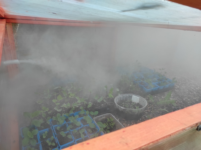 Должно быть всё в тумане