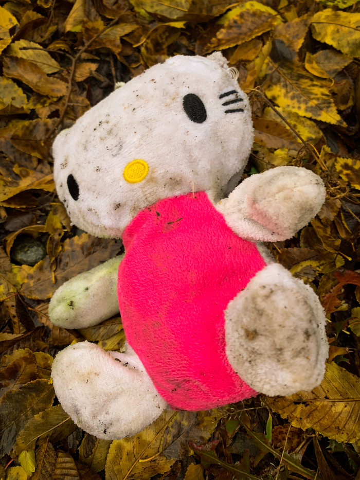  ,  ,  , Hello Kitty