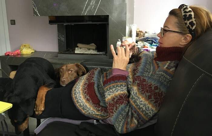 Две собаки лучше чем одна!