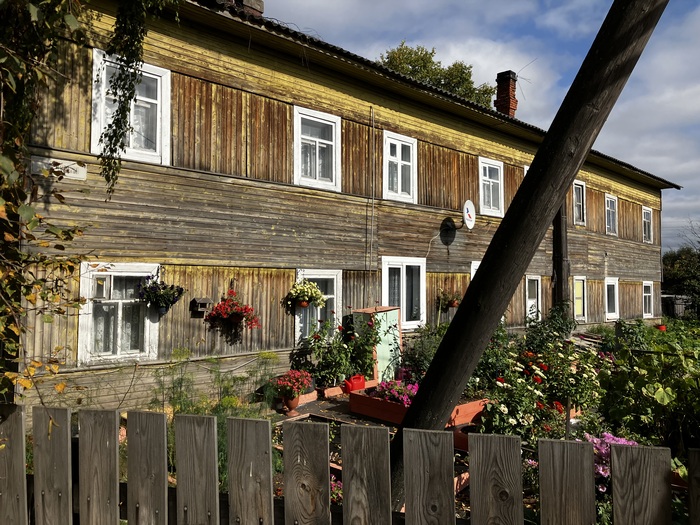 Несмотря на северный регион, растительность очень бурная