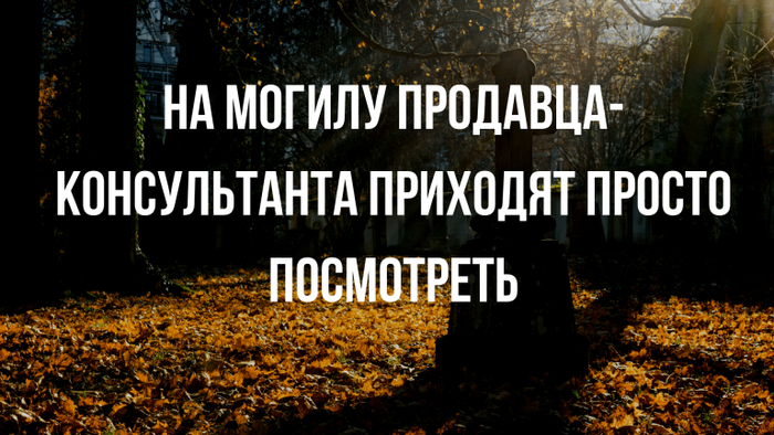 ���� ����� �������