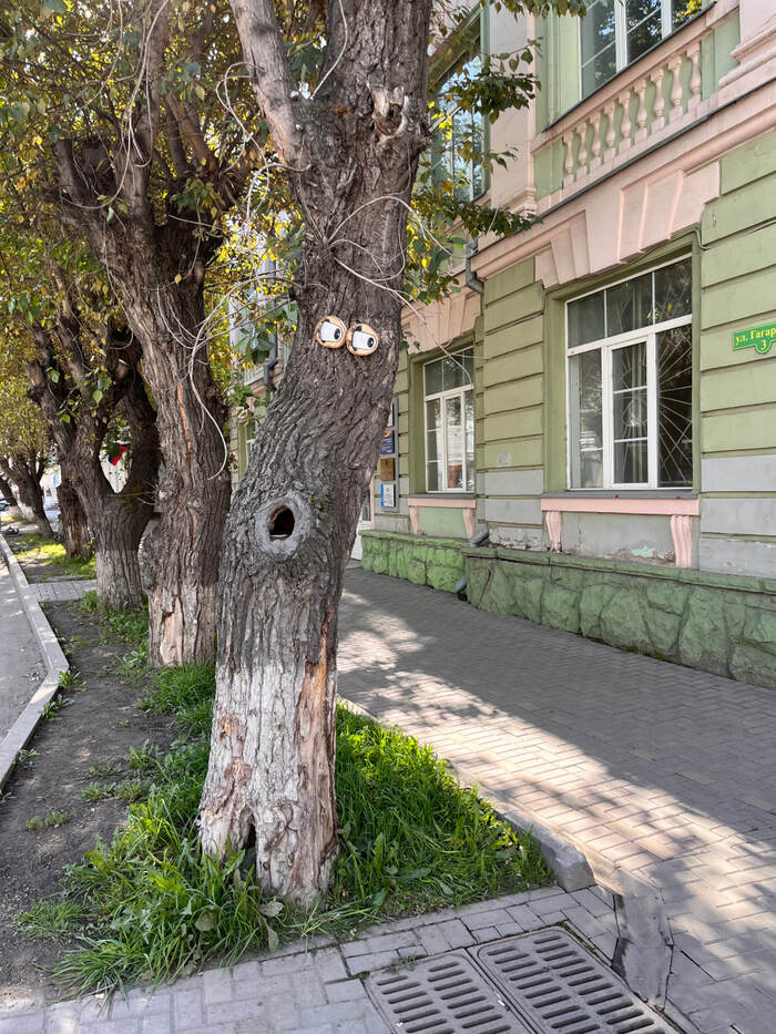 Хмурая урбанистика на старых улицах Ростова 😑 📸: Виктория Дронова #фото@rostovnadonu | ВКонтакте