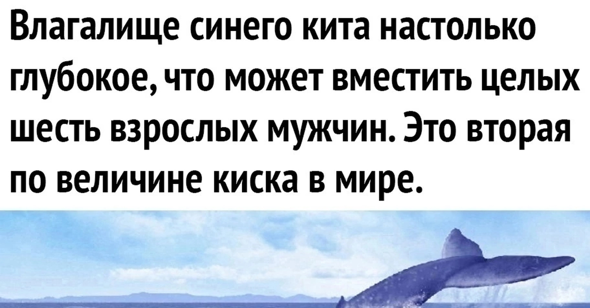 настолько глубокий человек. парень ест. я в своём познании настолько преисполнился. гордон рамзи приколы. гордон рамзи мем.