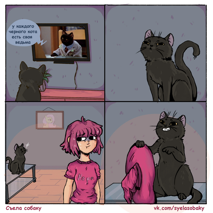 �������� �����