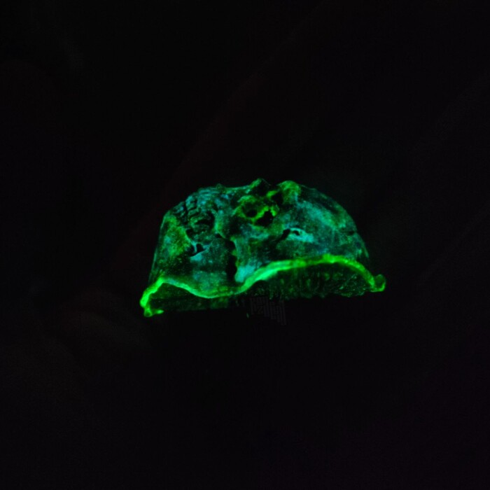 Вот так он выглядит в темноте.