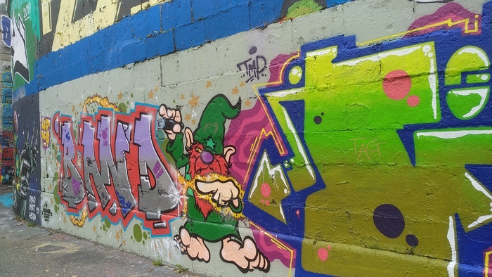 следуй за рыжим гномиком