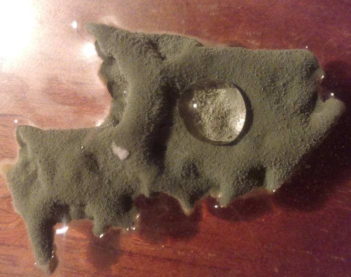 Плесень Бориска очень хорошо подрос на гранатовом соке и передает вам привет!