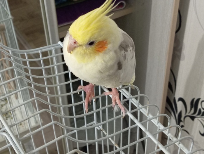  ,   , , , , 
