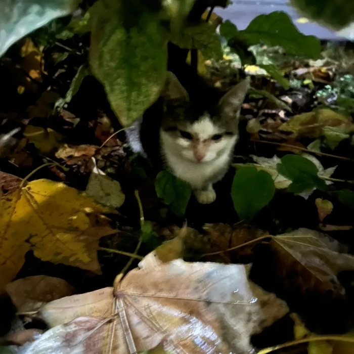 Малышка в траве | Пикабу