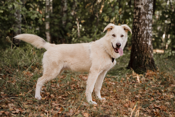 , 2 , .     .   5  6  ,    .   !