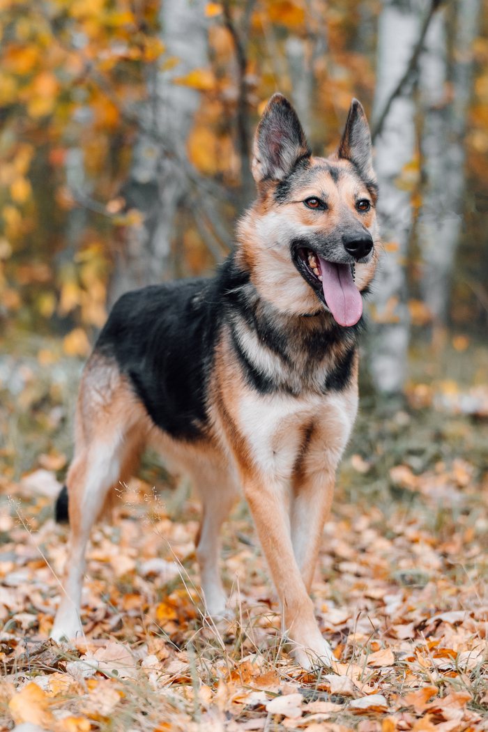 , 4 . ,   .     ,       .  ,       !