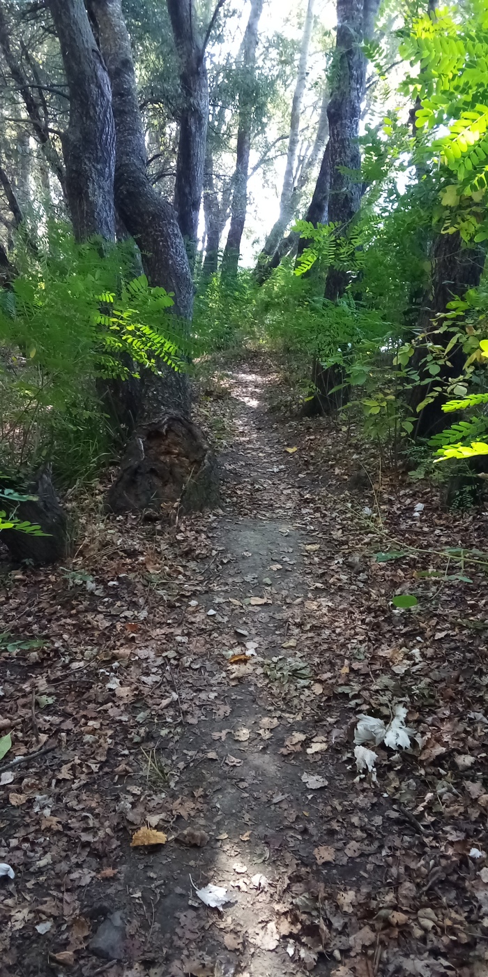 Путь вдоль реки