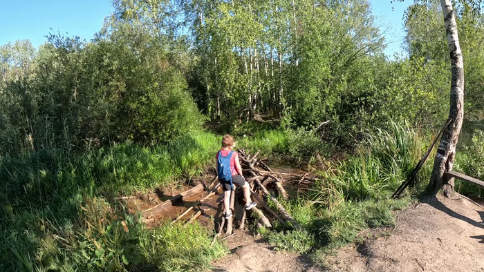 Переправа в Юнтоловском заказнике