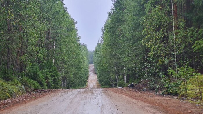 ������ ��������