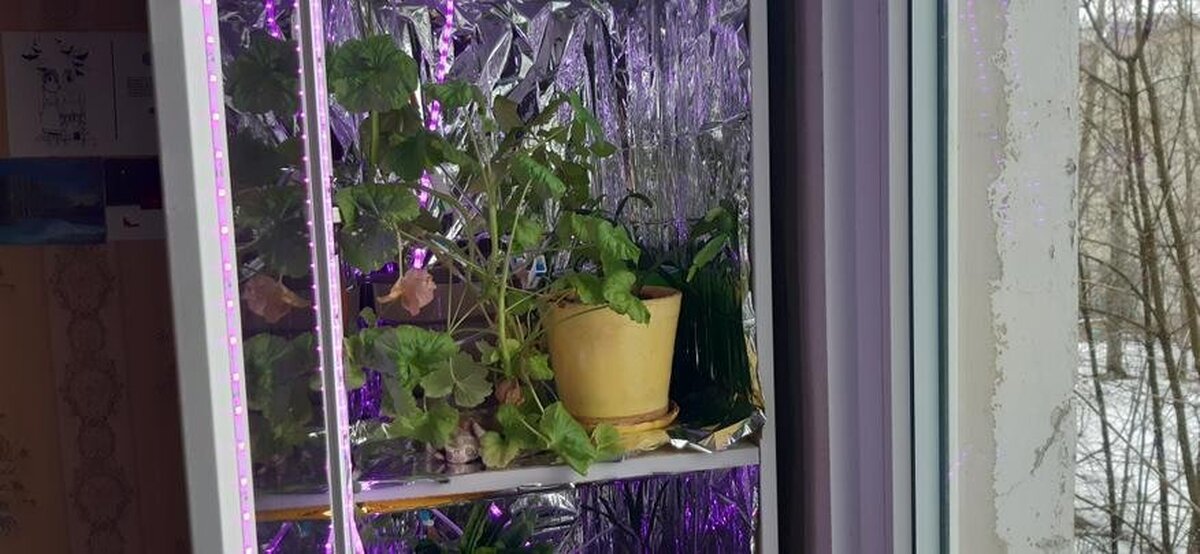 Гроубокс с автополивом своими руками: ошибки, трудности | Пикабу