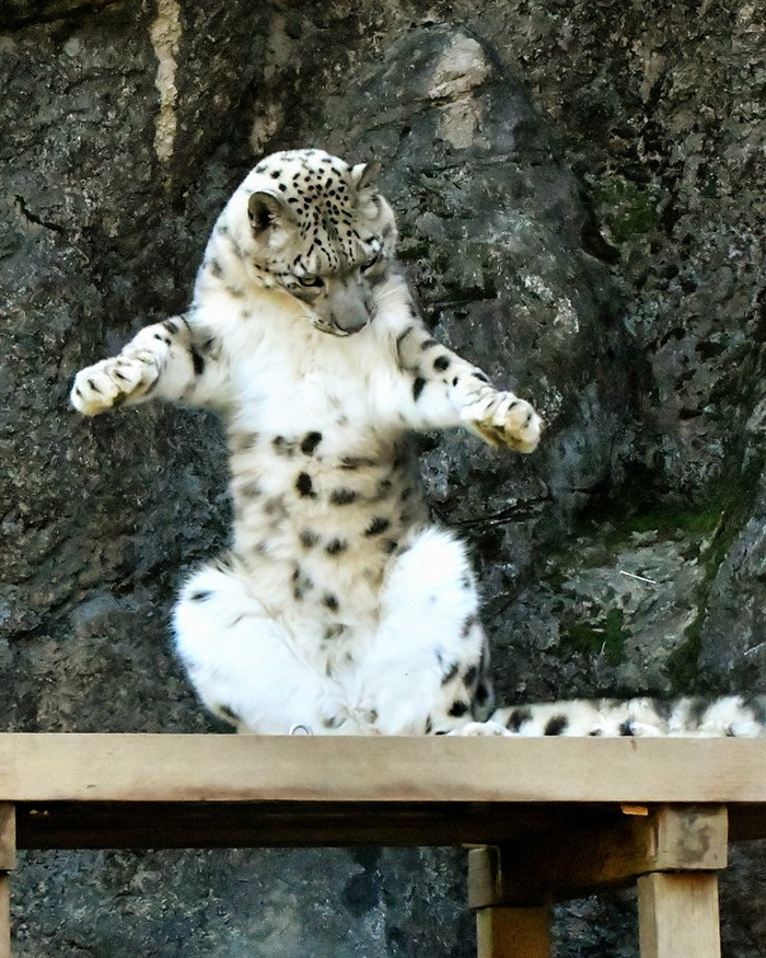 Эх, Яблочко!