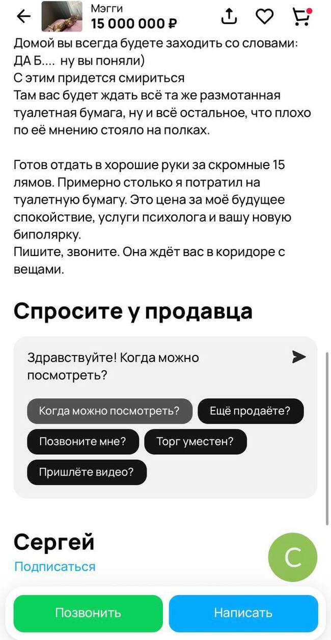 В подмосковном Одинцово продают бенгальскую кошку-террористку с именем  Мэгги за скромные 15 млн рублей | Пикабу