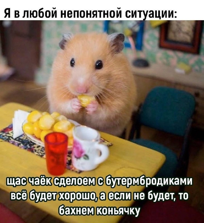       (), , , Telegram (),   