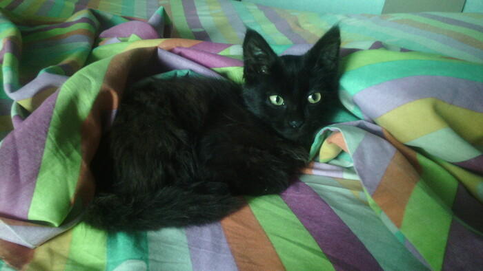 ������ ���� ����