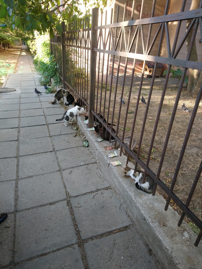 �������� ���� � �����