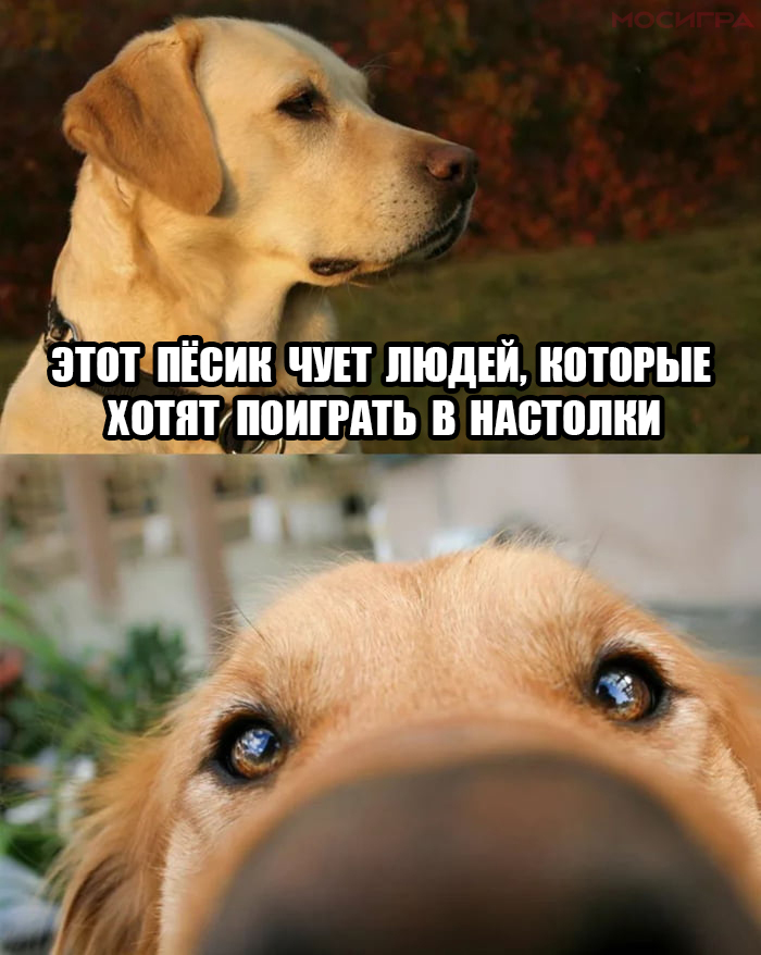  ,  , , , ,   