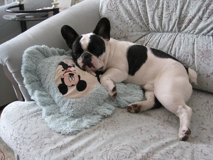 Спим-с на диване до всех операций