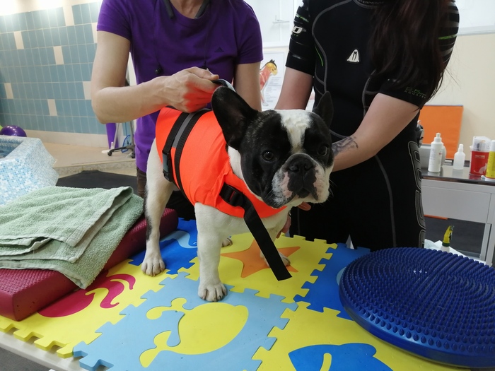 После плавания в бассейне с реабилитологом