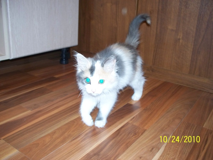 ���������, ����� �������� � ������ ������