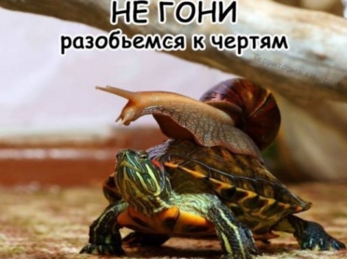     , , , Telegram ()