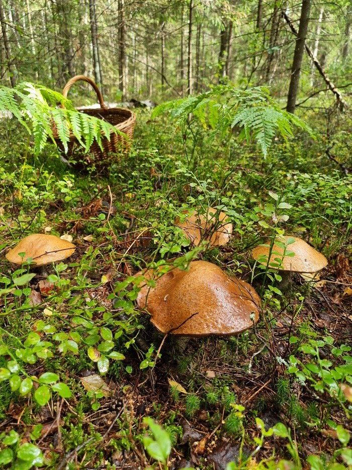 ������������