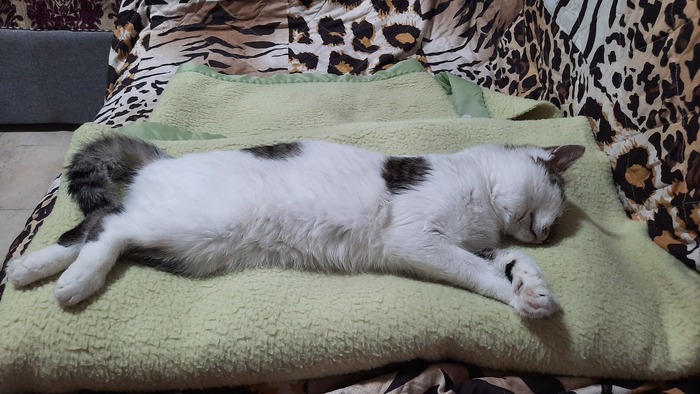 Переехали в другой город с ним