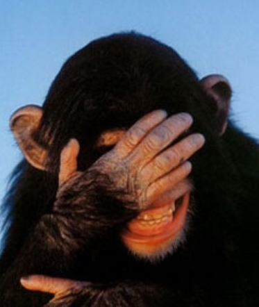 Какая-то обезьяна