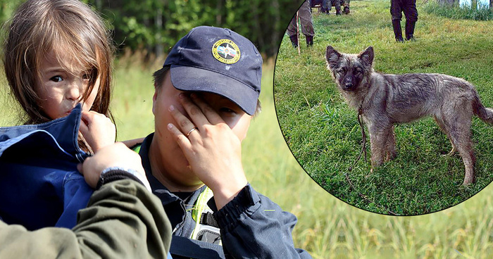 Чрезмерная самоуверенность инвестора