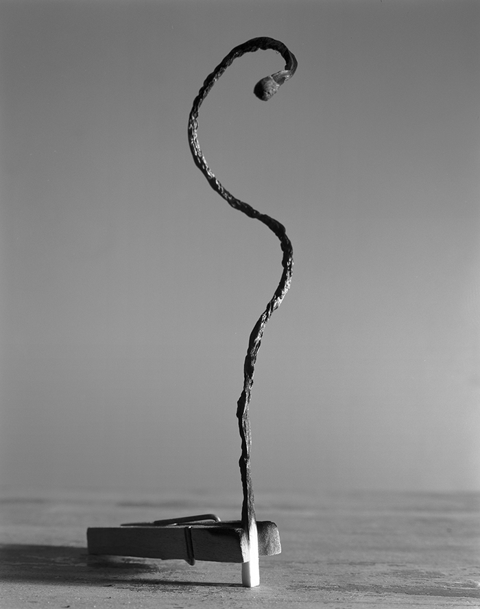 Сгоревшая спичка