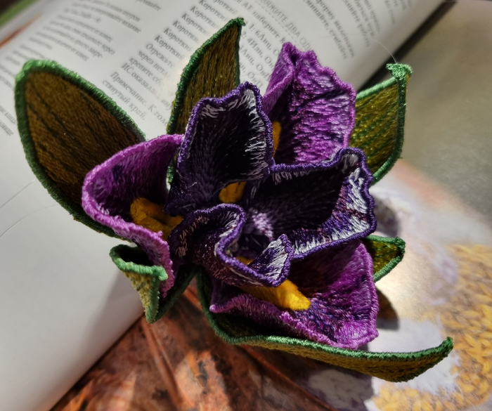   FSL -      ,   ,   ""    ,   .   ( ?)  .