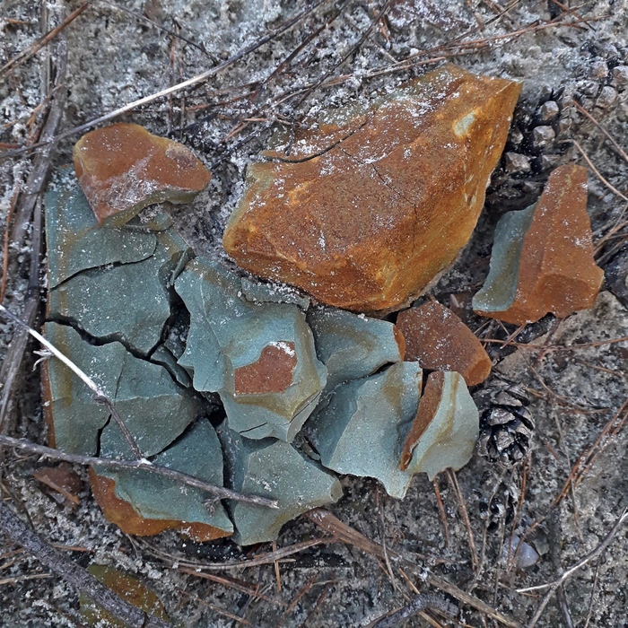 Глауконит. Вычерпан со дна песчанного каръера. На поверхности корка гидроокислов железа от выветривания (ещё под водой). Лёгкий, микро-пористый (впитывает воду).