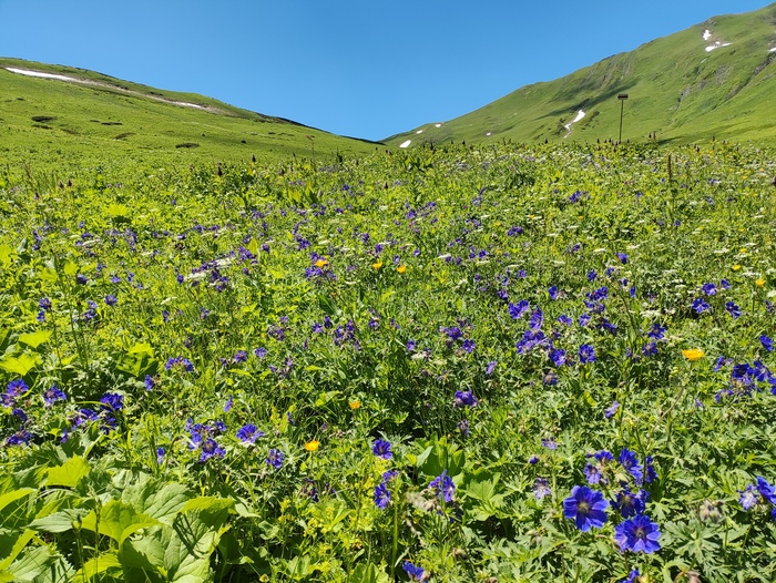 Километровый столбик на подступах к перевалу Аишха. Альпийские луга.