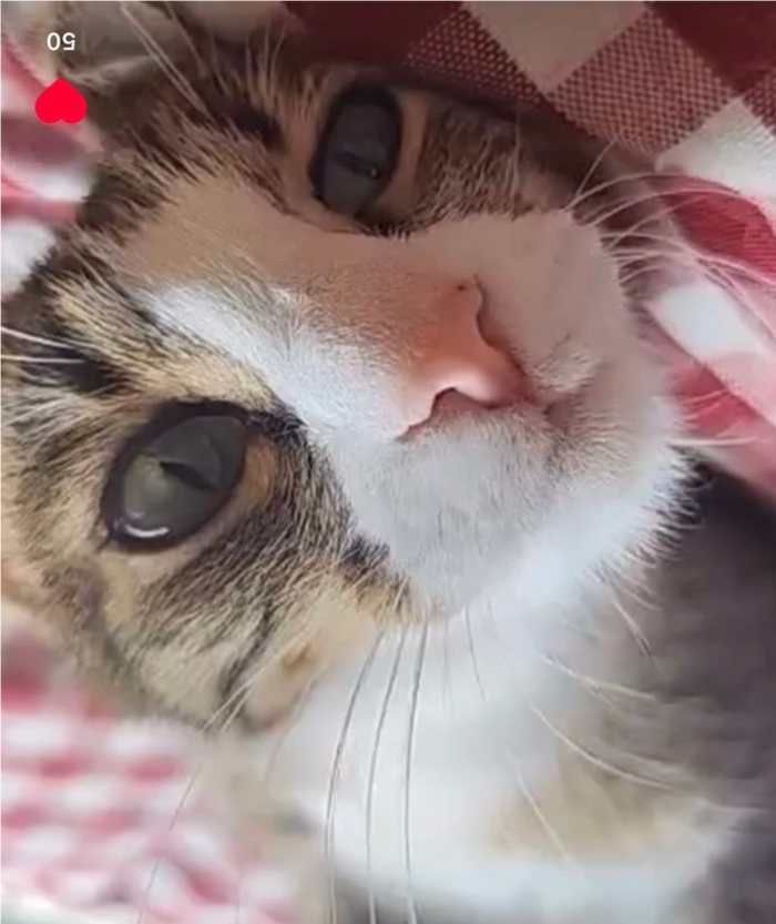    ,  ,  ,  , , ,  , , ,   , , 