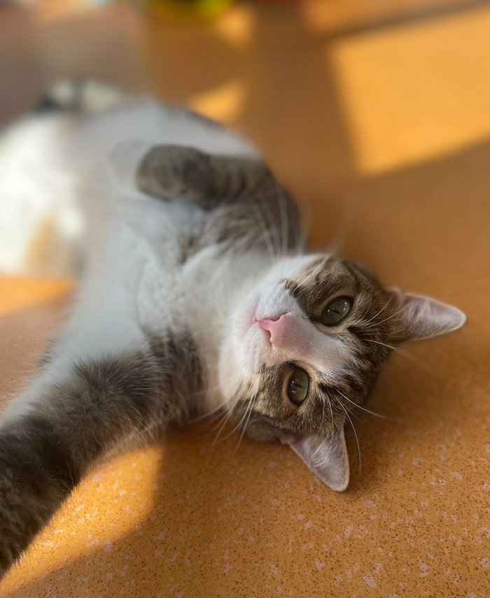    ,  ,  ,  , , ,  , , ,   , , 