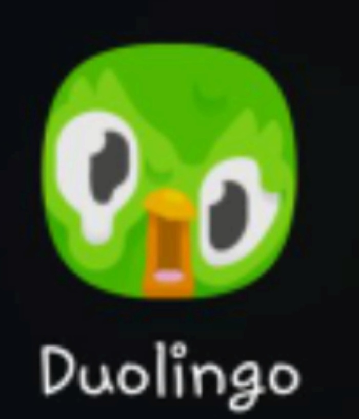     ? Duolingo, 