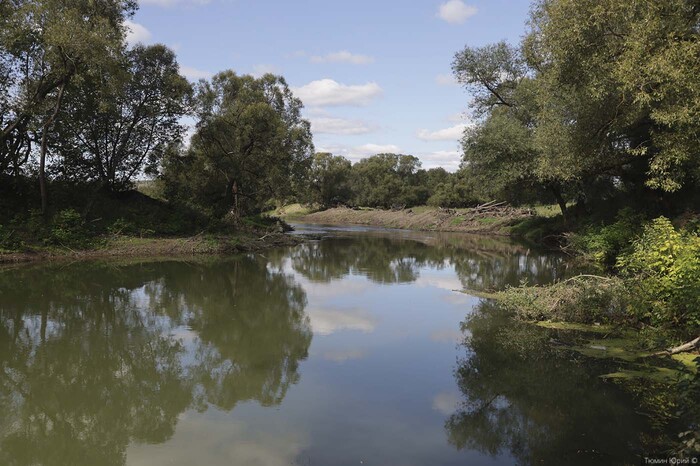 ���� ����.