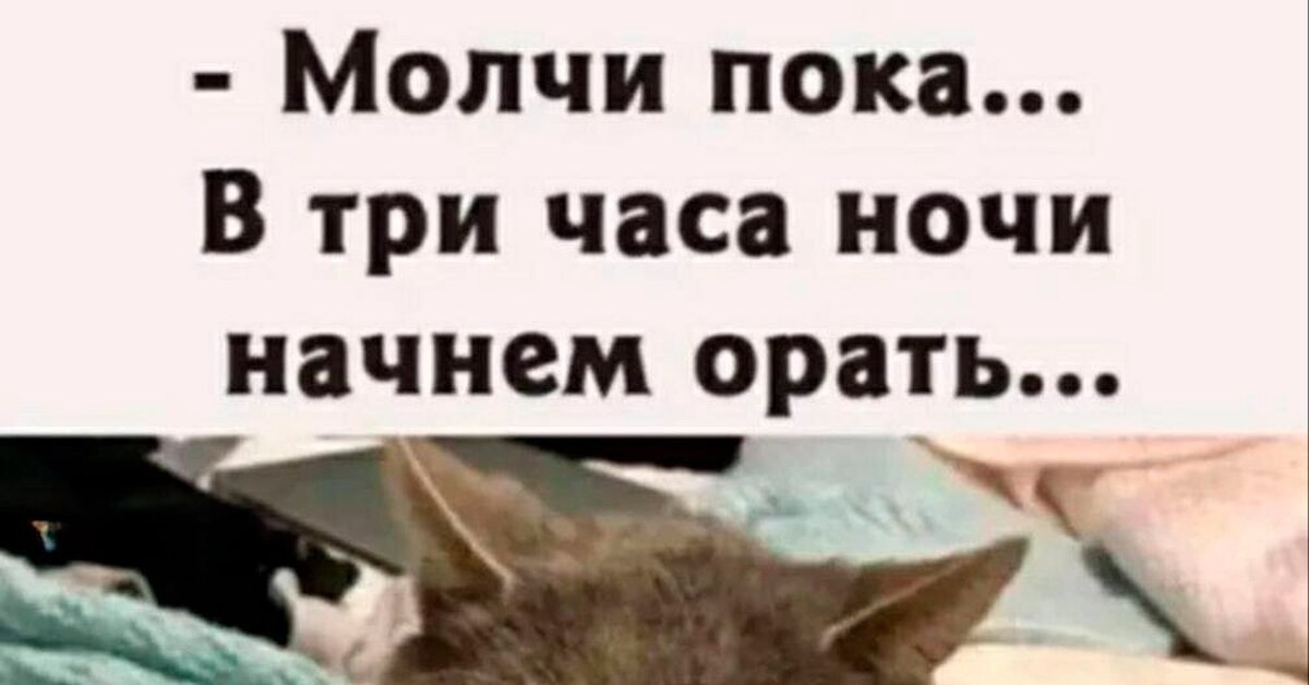 Преступная группировка | Пикабу
