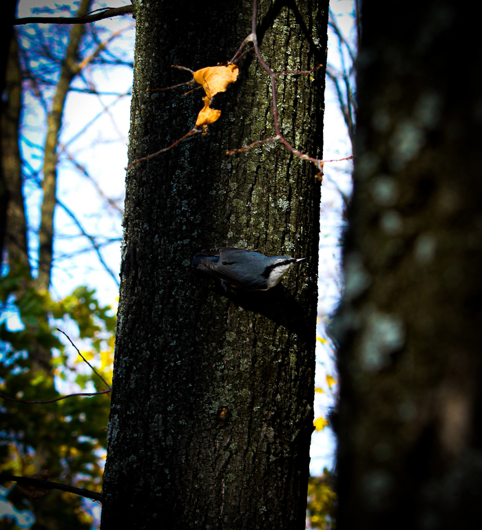 ��������� � �����