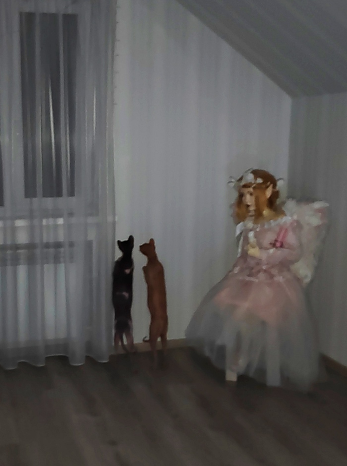 ... ,  , , , , 