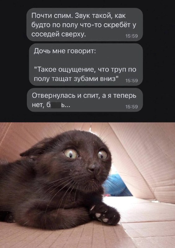 Бессонница | Пикабу