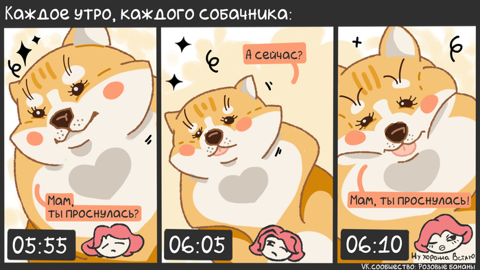 ��������� ����� �������