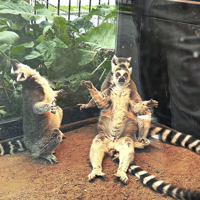 &quot;,        &quot;   