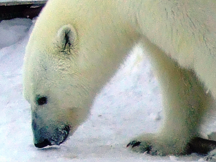 ����: ����� ��������